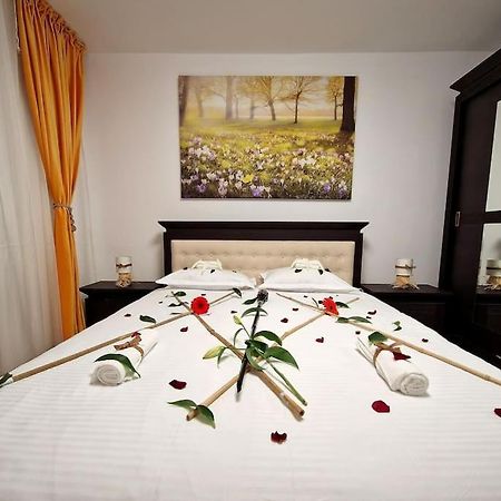 Forest Intimate Hideaway - Sub Padure Love Nest Daire Braşov Dış mekan fotoğraf